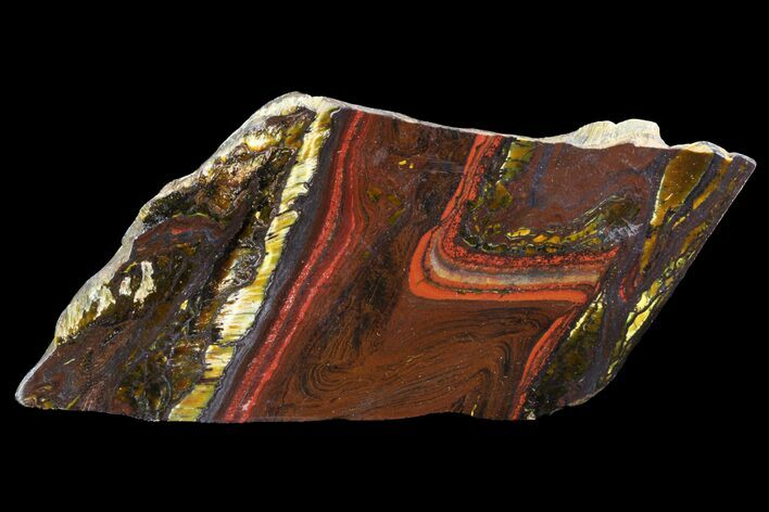 Polished Tiger Iron Stromatolite - ( Billion Years) #75831